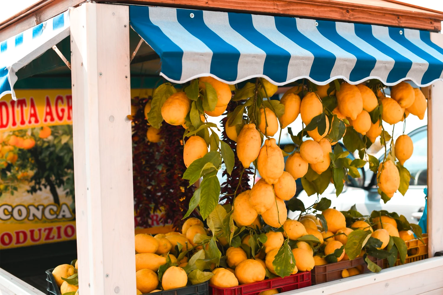 Étal de citrons de Sicile sous un store rayé